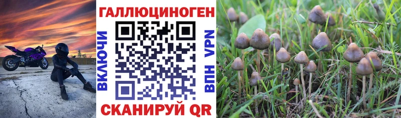 Псилоцибиновые грибы прущие грибы  Нея 