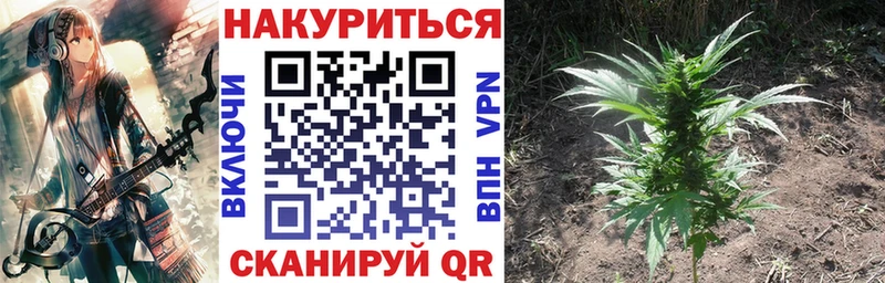 Конопля ГИДРОПОН  закладка  Нея 